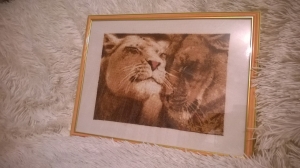 Large image