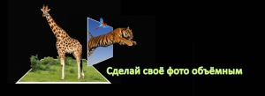 Large image