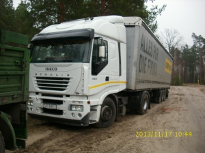 Large image